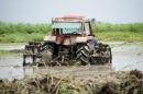 work at the rice fields by New Nickerie, Suriname